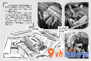今日股市行情行情：赵黎昀/供图翟超/绘图
