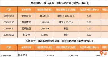 今日股市行情大盘走势图-高毅邻山1号远眺股票基金在三季度买入海康(002415)