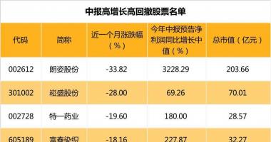 关于最新股市消息-突放利好:锂业巨头出“王炸” 中报高增长高回撤股票名单