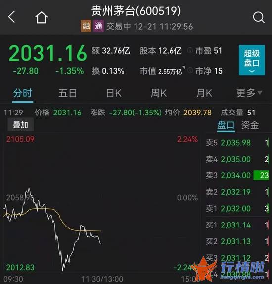 今天10条利好消息集锦_突发重磅利好，一板块狂掀涨停潮！大妖股突然崩了，800亿白马涨停！睿远高毅都来了