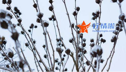 今年股票行情会怎么样_ 碳交易概念走高，冠中生态等暴涨，全国碳销售市场交易销售市场将开启 