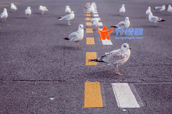 今天8条利好消息集锦 储能概念发力走高