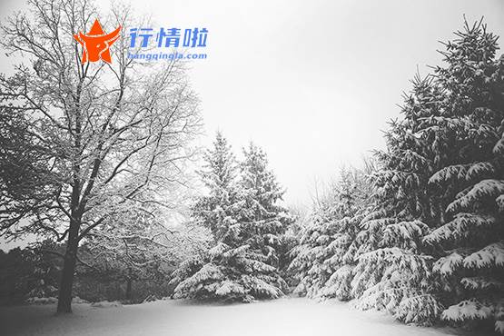 今日股市行情查询网：特别是特斯拉