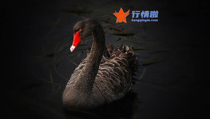 今日最新股市消息-意外！一个利好是假的？