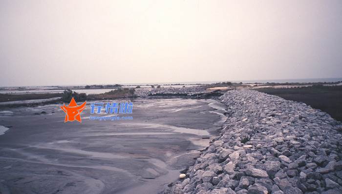 本周最新股市消息新闻-油气股在风口，煤飞色舞行情来了？贵州燃气3连板、郑州煤电2连板
