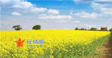 最新股市消息息 受钛白粉价格延续走高以及需求不断上涨等影响