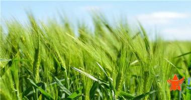 明天大盘预测：道指涨35.32点