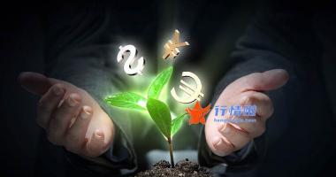 大盘行情分析要点-锂矿股掀涨停潮，创业板涨1.06%