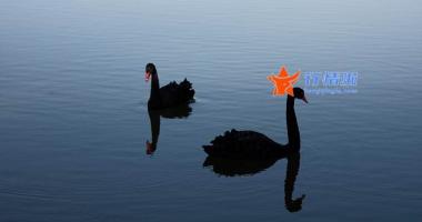 房地产股票大盘分析 军工、有色金属接力走强，沪指涨0.32%