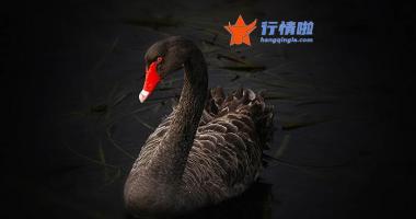 今日最新股市消息-意外！一个利好是假的？
