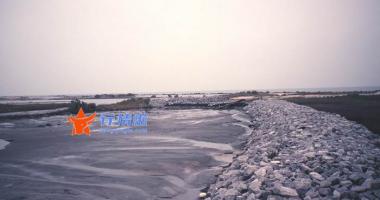 本周最新股市消息新闻-油气股在风口，煤飞色舞行情来了？贵州燃气3连板、郑州煤