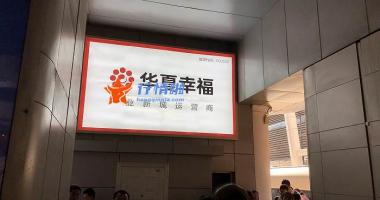 今天10个利好消息集锦-上市猪企半年亏损近200亿，Q3能否实现大幅盈利仍存疑