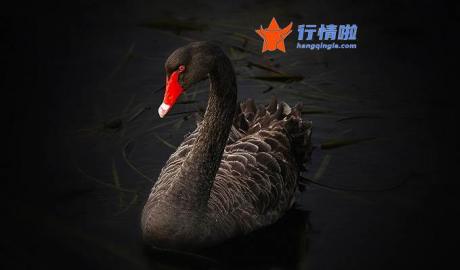 周边最新股市消息：新华保险派发年股现金红利