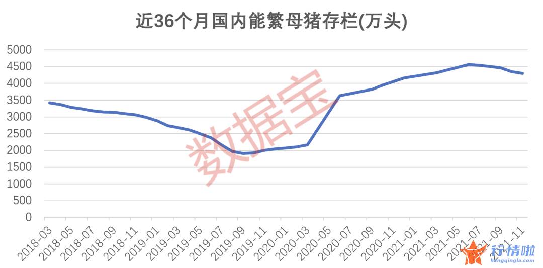 今天最新股市消息新闻：猪肉价格高点以来下跌近60%，猪周期拐点何时到来？这些公司业绩有望迎来逆转