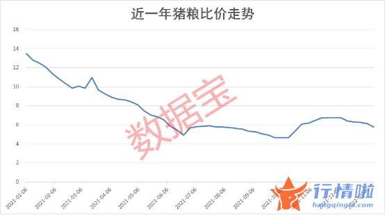 今天11条利好消息 跌入预警区间，猪价踩踏企业或普亏，期货跌至低点