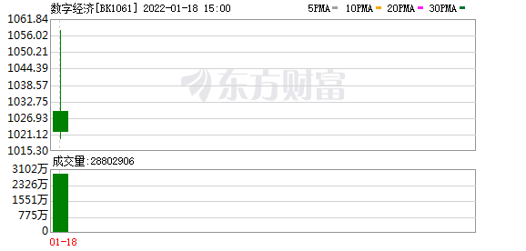 今天9条重大利好消息_分析师2小时安排13场电话会议，今年的数字经济真能成为2021的新能源？