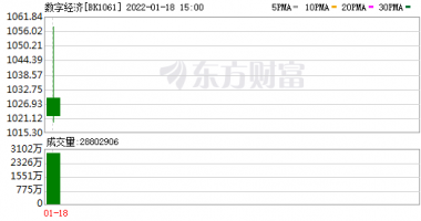 今天9条重大利好消息_分析师2小时安排13场电话会议，今年的数字经济真能成为20