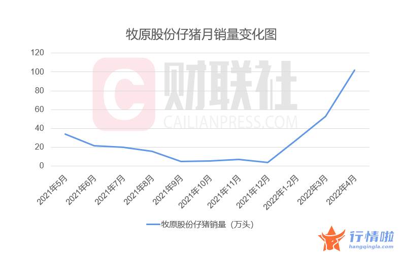 中国最新股市消息新闻_“猪茅”4月出栏量再创新高，猪价预期升温仔猪变“金猪”