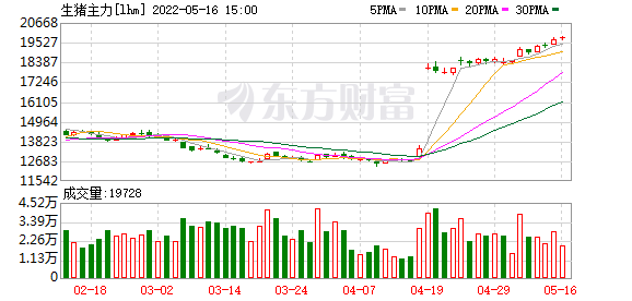 今天8个利好消息 缺猪了？生猪期价反弹逾20%，主力资金杀入这些股