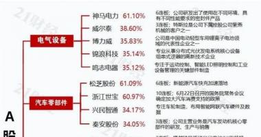 今天最新股市消息指数 光伏+有机硅+新能源车多重利好加身，最牛股摘得11连板周