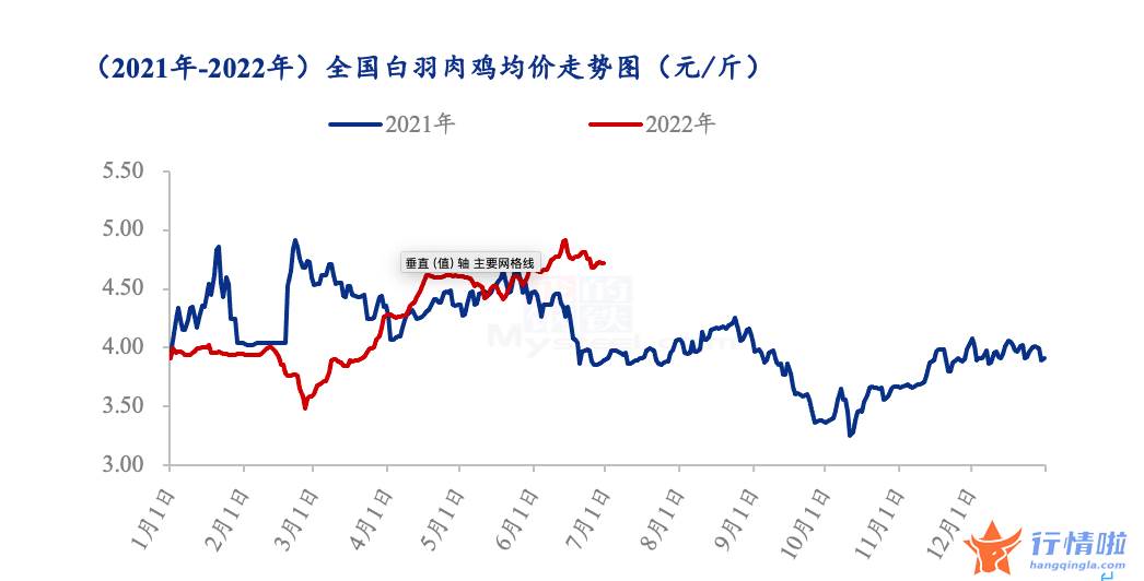 最新股市消息新闻行情_成本需求“双重挤压”白羽鸡产业链上半年业绩惨淡，但行业拐点或已现