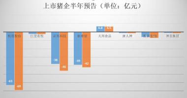 今天10个利好消息集锦-上市猪企半年亏损近200亿，Q3能否实现大幅盈利仍存疑