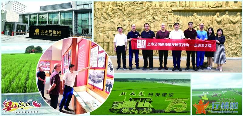 最新股票行情大盘走势-勇担维护国家粮食安全“压舱石”重任