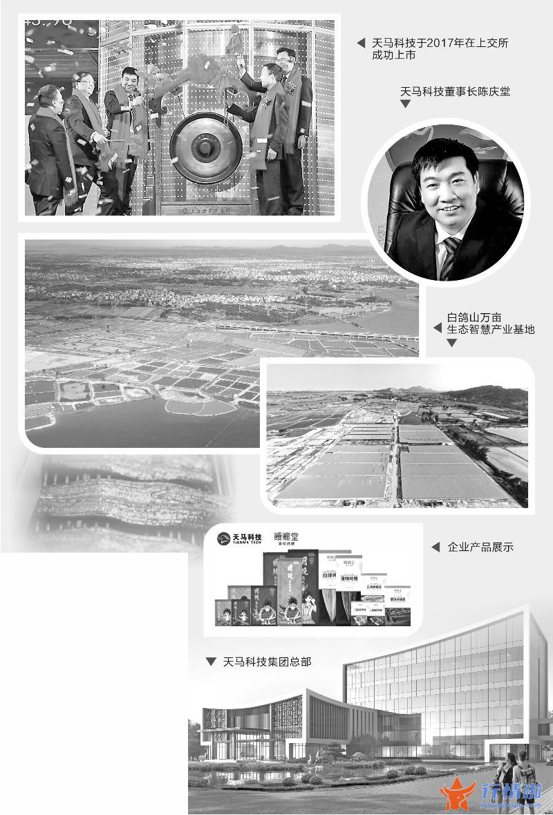 明日股票行情走势 “一条鳗鱼”拉动全产业链天马科技打造“中国鳗谷”