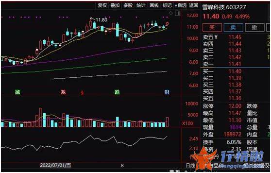 今日股市利好消息_北上资金狂扫货，“牛市旗手”大爆发，地产股再走强，啥情况？