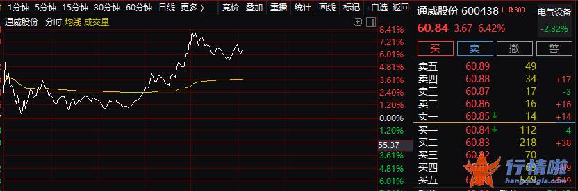 上海 今日最新股市消息-千亿级巨头集体大跌，一次招标带崩整条赛道？这一板块集体飙涨，1个月19条利好，什么情况？