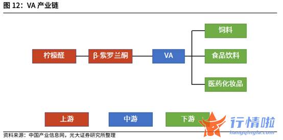 财经最新股市消息市消_海外能源问题促涨价预期浓厚？维生素板块龙头股封板，产业链受益上市公司有这些