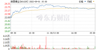 今日最新股市消息：钴价止跌回升，备货期及消费旺季将来临，高增长概念股出