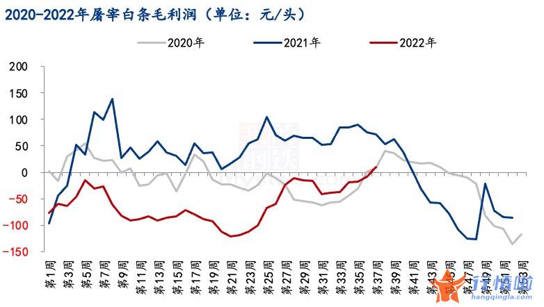 今天10条利好消息：还撑得住吗？长期亏损、产能过剩，屠宰行业“厮杀加剧”