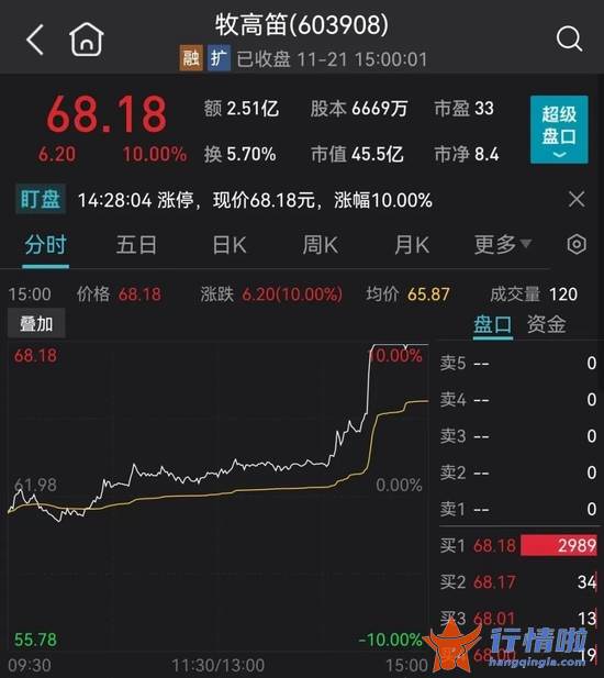 今日最新股市消息新闻-刚刚，央行、银保监出手，楼市再迎大利好！两只股尾盘直线拉涨停，供销社大牛股上演“地天板”